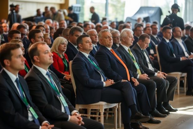 edited ilie bolojan atac la adresa lui sorin grindeanu dupa depunerea motiunii de cenzura e greu cu consecventa 69f49087622ef