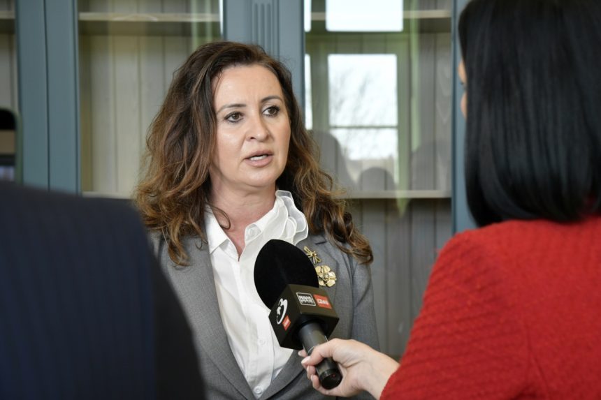 edited natalia intotero psd despre legea transparentei finantarii ong urilor nu vad o intimidare in acest sens 6a0d6e449296a