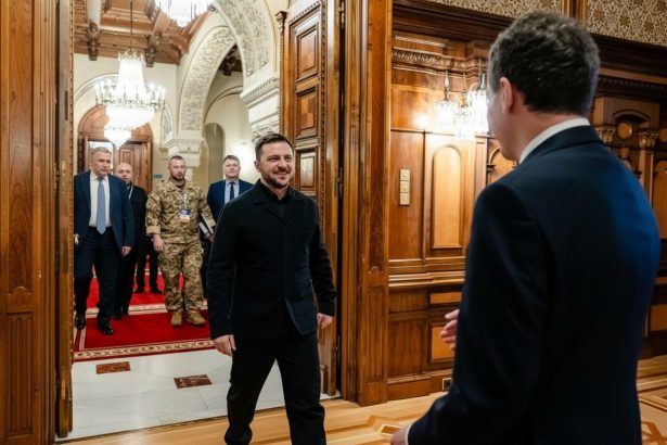 edited nicusor dan si volodimir zelenski au discutat la palatul cotroceni despre cooperarea in aparare si securitate energetica 6a04b245e3189
