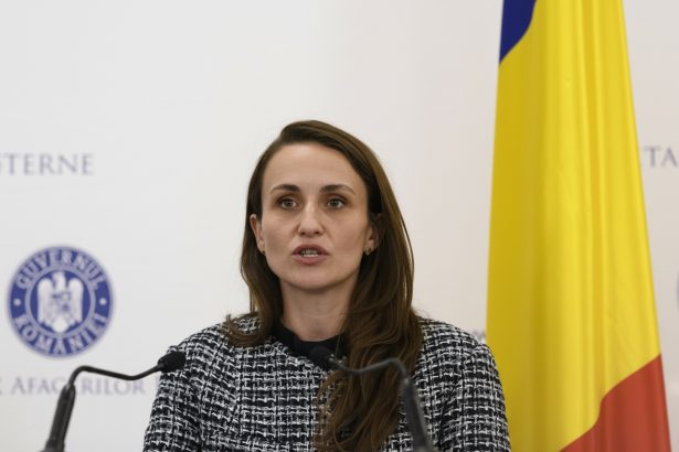 edited oana toiu prezenta la reuniunea nato din suedia contestarea finantarii apararii romaniei este un joc periculos 6a1034728fd06