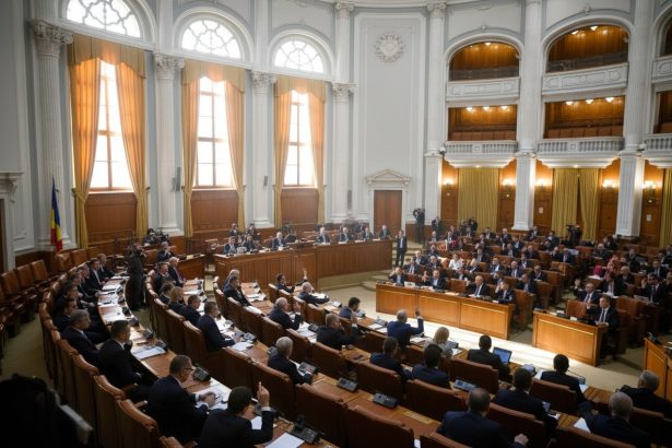 edited parlamentul romaniei a eliminat e factura pentru drepturile de autor si agricultori psd a votat impreuna cu pnl 6a0d8a561eeac