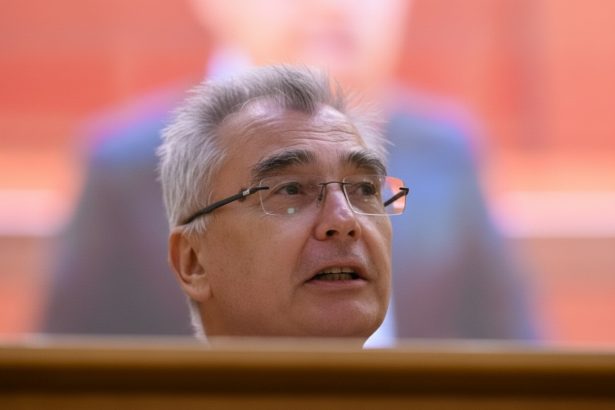 edited peiu atac la oana gheorghiu si ilie bolojan firmele romanesti au aceleasi drepturi precum cele germane 6a0839ba541a6
