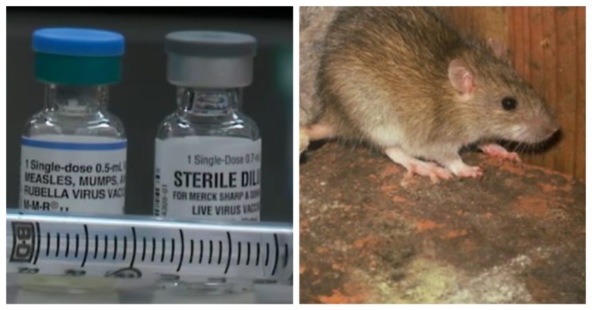 focar de hantavirus cu zeci de cazuri raportate anual in ucraina de ce s a aflat abia acum 6a017a6916c63