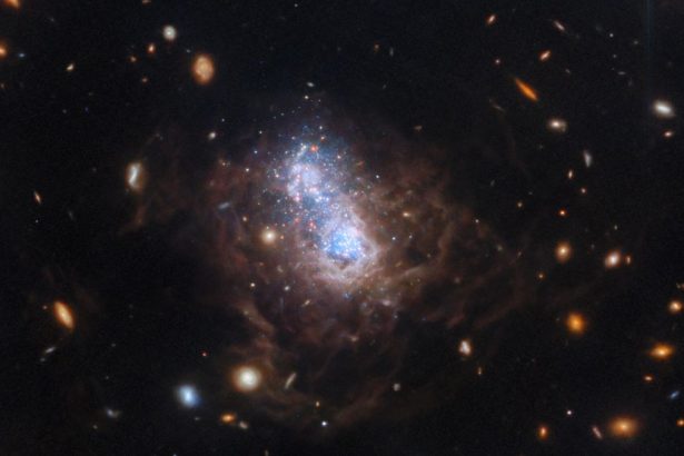 mister din univers rezolvat cu ajutorul telescopului james webb 6a021fc625a32