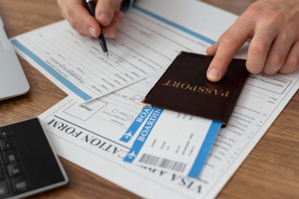 scandal cu vizele pentru europa transformate in afacere ce poate face comisia europeana 6a1816607a2be