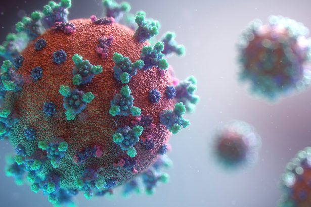 una dintre cele mai contagioase infectii din lume are o noua tulpina cazurile cresc in sua 6a19aa8692af6