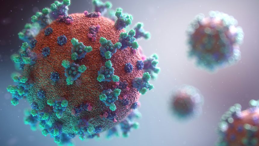 una dintre cele mai contagioase infectii din lume are o noua tulpina cazurile cresc in sua 6a19aa8692af6