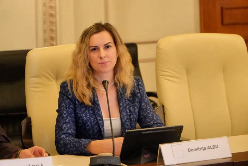Deputata de diaspora Dumitrița Albu intervine în cazul taberei de romi din Bordeaux, unde trăiesc sute de persoane în condiții dificile.