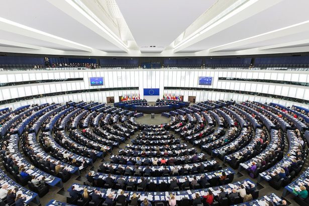 actiune in parlamentul european peste 200 de eurodeputati cer anchetarea extremei drepte 6a42d65cd7dc7
