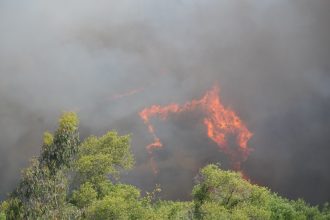 alerta de nivel 2 in spania in urma unui incendiu de vegetatie care a ars 330 de hectare mai multi oameni sunt evacuati 6a2e68bed77a6