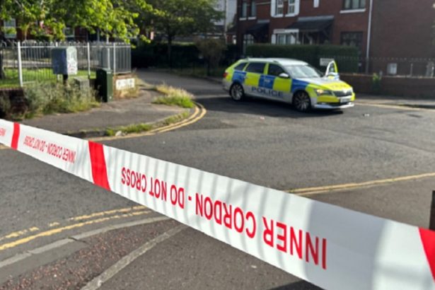 atac violent cu cutitul la belfast martorii au intervenit pentru a opri agresorul 6a27ef49cbc02