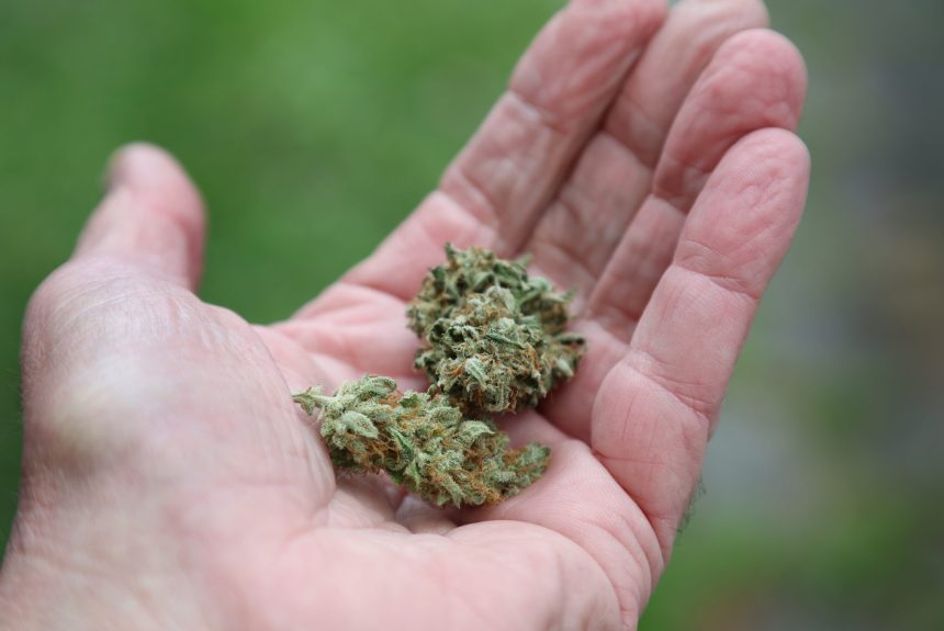 au trimis 14 tone de cannabis prin curier zece suspecti au fost arestati in franta si spania 6a3ceb97ddd05