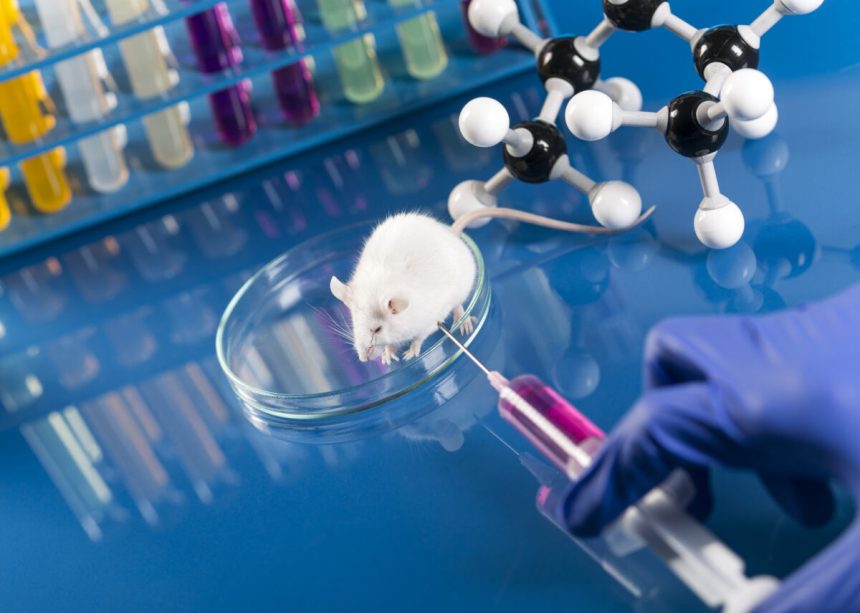 documente declasificate in sua despre laboratoarele biologice reactia dura a moscovei rusia a spus adevarul 6a2d23afcce89