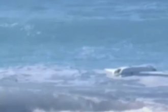 drona cu munitie descoperita pe o plaja de la marea neagra turistii au fost evacuati 6a30001d7a8d4