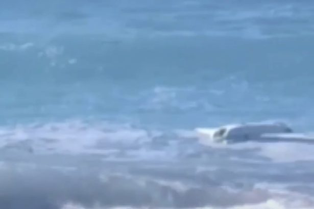 drona cu munitie descoperita pe o plaja de la marea neagra turistii au fost evacuati 6a30001d7a8d4