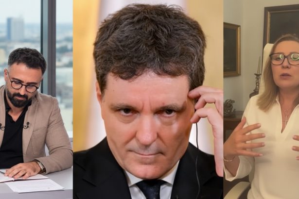 edited elena lasconi spune ca nicusor dan nu va renunta niciodata la mandat este un om rau orgolios razbunator 6a3a97ee9b1cd