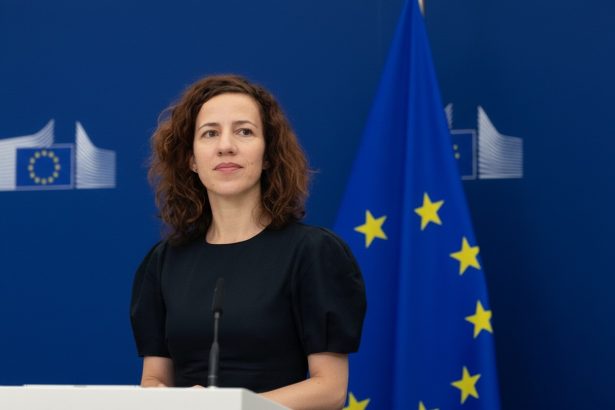 edited o romanca la masa marilor puteri roxana minzatu reprezinta ue la g7 si la conferinta internationala a muncii 6a2836c60eeae