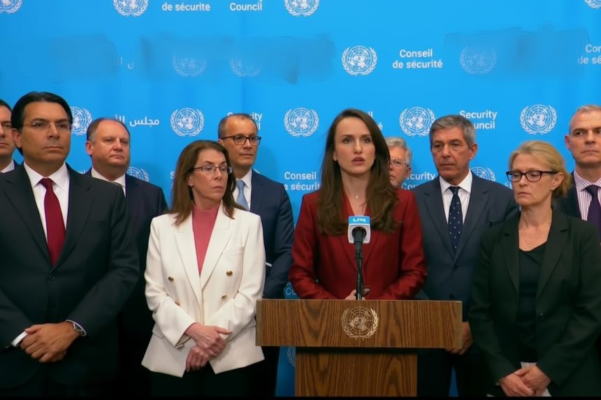 edited oana toiu a criticat dur rusia la onu atacurile impotriva civililor trebuie condamnate oriunde s ar intampla 6a1ddc02b2085