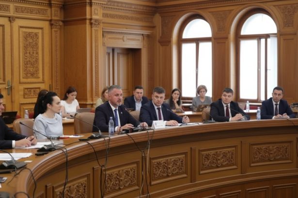 edited romeo lungu aviz negativ pentru ministerul dezvoltarii avizul este unul consultativ 6a3911a0181bc