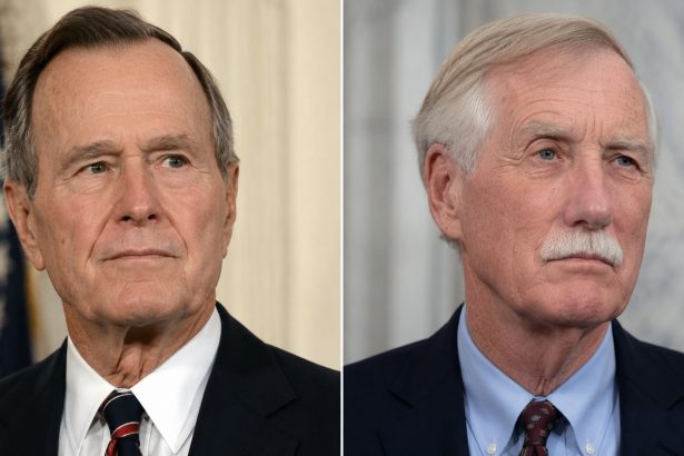 familiile bush si king esec electoral neasteptat mostenitorii politici nu a ajuns in finala pentru functia de guvernator 6a363b00c5796