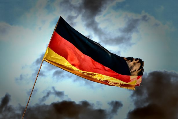 germania vrea sa excluda o categorie de barbati ucraineni din programul de azil temporar 6a21a89e14981