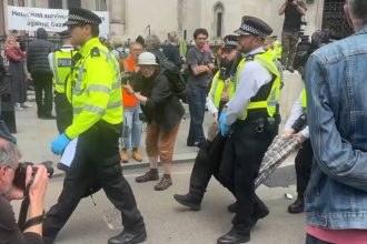justitia britanica confirma statutul de organizatie terorista pentru palestine action mii de sustinatori au fost arestati dupa proscriere 6a3218f17dc11
