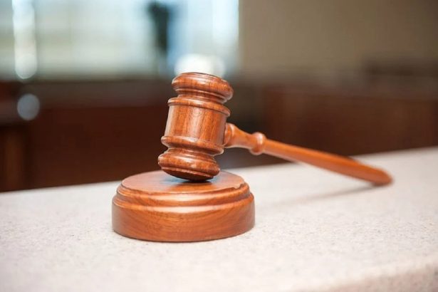 lovitura pentru executivul din suedia inainte de alegeri planul privind pedepsele cu inchisoarea pentru micii infractori abandonat 6a2ab8ef34a8b