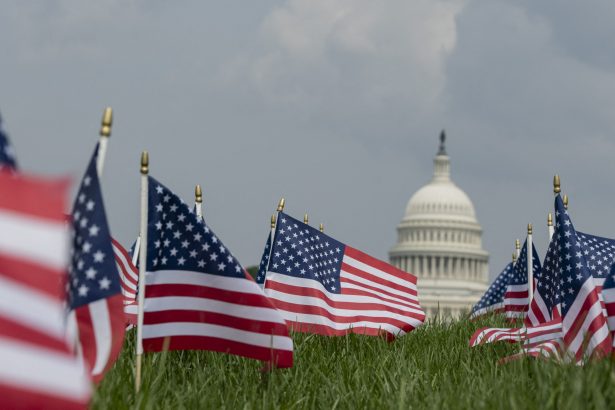lupte ufc azi cand donald trump implineste 80 de ani este si ziua drapelului si aniversarea fondarii armatei 6a2e2bd108ed8
