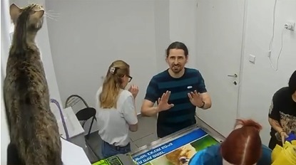 o pisica a facut ravagii intr o clinica veterinara a distrus mai multe lucruri si a ranit cativa oameni 6a2ff158aed8a