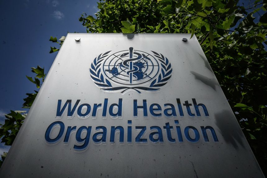 oms incepe un studiu clinic ebola in congo pentru testarea unor tratamente experimentale 6a3ce6e9790f0