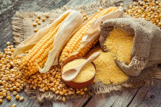 parlamentul european aproba noile plante editate genetic fermierii ar putea cultiva soiuri mai rezistente la seceta si boli in urmatorii ani 6a33eebb30e8b