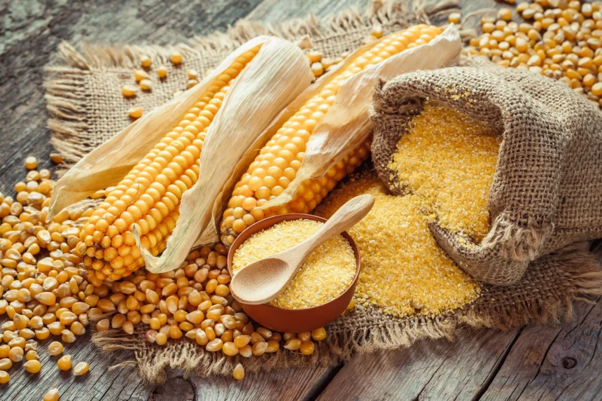 parlamentul european aproba noile plante editate genetic fermierii ar putea cultiva soiuri mai rezistente la seceta si boli in urmatorii ani 6a33eebb30e8b