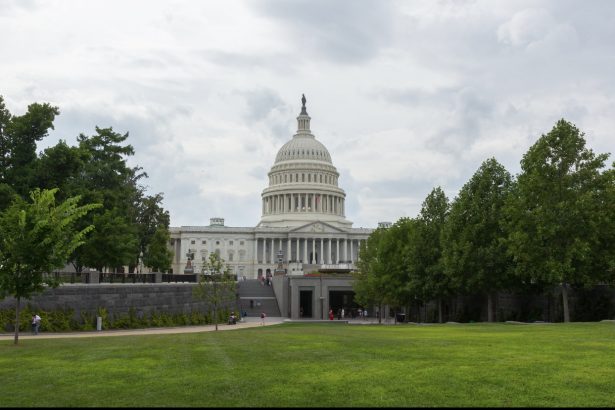 patru republicani l au tradat pe trump si au votat alaturi de democrati votul il incurca pe presedinte 6a20fda14e4bb