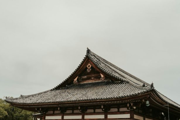 reglementarea cazarilor private in japonia autoritatile locale pot interzice minpaku in cartierele rezidentiale 6a36716b482b7