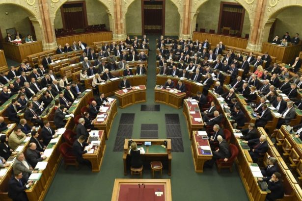 schimbare radicala in ungaria deputatii isi taie salariile la initiativa lui peter magyar 6a27141f30904