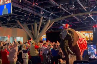 un elefant de patru tone a stricat conventia republicanilor din texas si a devenit viral 6a37ac4c9aca4