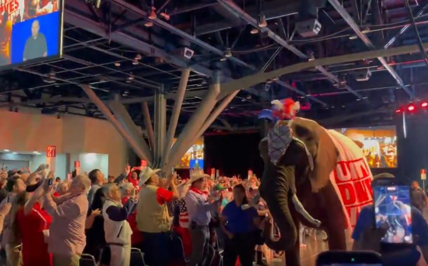 un elefant de patru tone a stricat conventia republicanilor din texas si a devenit viral 6a37ac4c9aca4