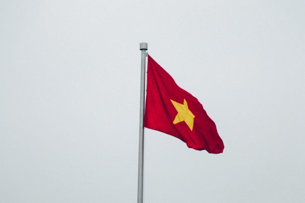 vietnam o retea masiva de hoti de pisici a fost destructurata peste 400 de animale care urmau sa fie sacrificate au fost salvate 6a311e89872e7