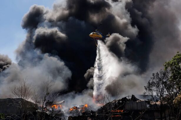 4 state europene afectate de incendii pe fondul caldurii extreme sunt si raniti 6a4ba58445912