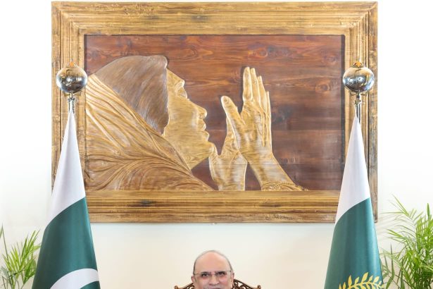 President Asif Ali Zardari issuing a statement marking Egypt's National Day and Pakistan–Egypt bilateral relations.