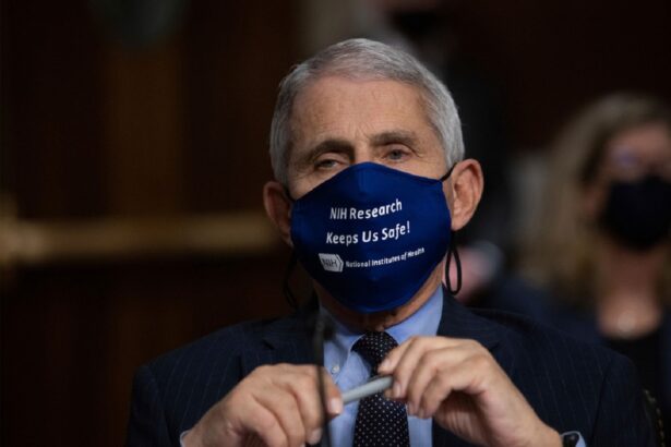confruntare in senatul sua anthony fauci refuza sa raspunda acuzatiilor lui rand paul 6a6a1e586d29a