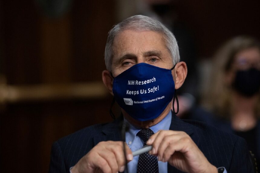 confruntare in senatul sua anthony fauci refuza sa raspunda acuzatiilor lui rand paul 6a6a1e586d29a