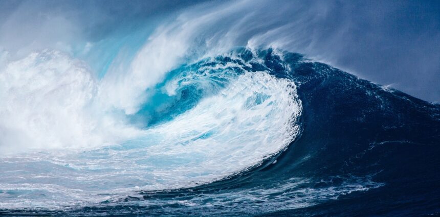 cutremur puternic in noua zeelanda autoritatile au activat alerta de tsunami 6a58c85486ea5