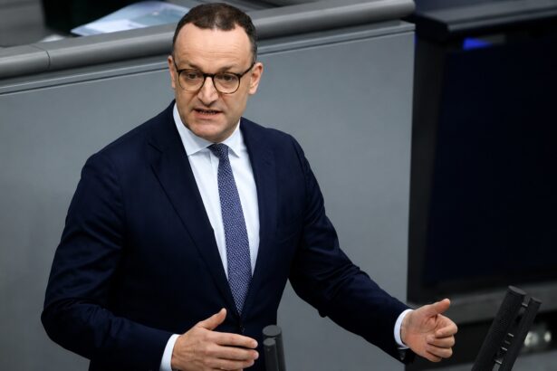 demisie la varful politicii germane un copil i a schimbat cariera politica 6a5b7e111f327