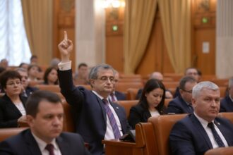 edited liderul deputatilor pnl da replica social democratilor ei incearca sa transfere asupra altora responsabilitatea pentru criza politica 6a510737e8a7a