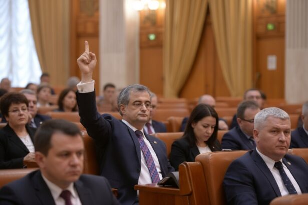 edited liderul deputatilor pnl da replica social democratilor ei incearca sa transfere asupra altora responsabilitatea pentru criza politica 6a510737e8a7a