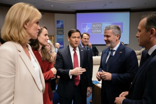 edited oana toiu discutii cu marco rubio si alti ministri de externe prezenti la summit miza noastra sa crestem profilul de furnizor de securitate 6a4e28993233e