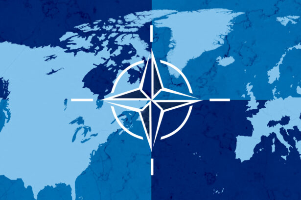 estimari nato cinci state membre vor aloca 35 din pib pentru apararea de baza inca din acest an cum sta romania la acest capitol 6a4d4a387e72c