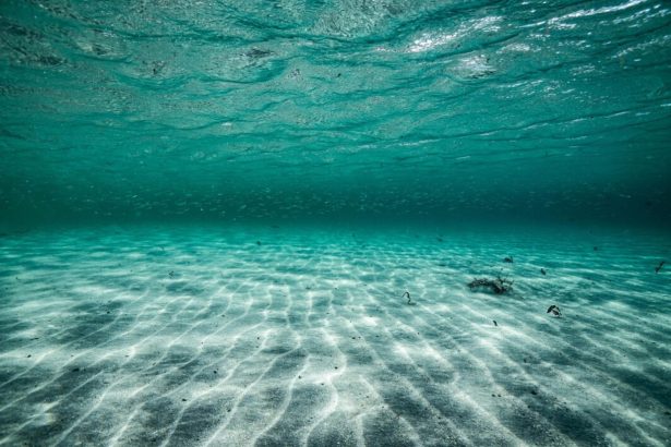 fenomen ingrijorator observat in oceanele lumii verile ar putea deveni tot mai fierbinti 6a468234769b7
