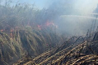 grecia sub asediul incendiilor 60 de focare in doar 24 de ore 6a4a7cb5b2a21